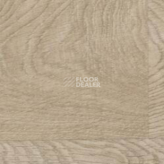Линолеум Gerflor Taralay Initial Comfort 0828 Habana Beige фото 1 | FLOORDEALER